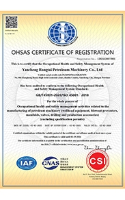 Occupational Health and Safety Management System Certification Certificate 